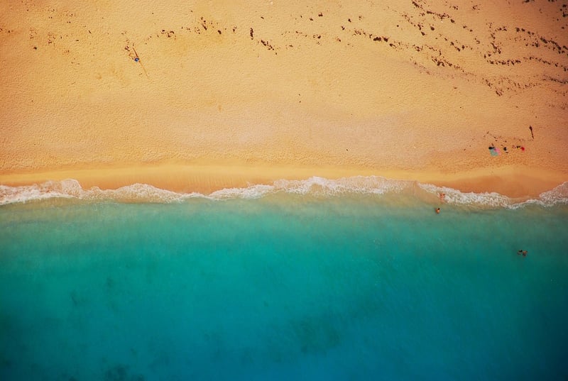 Tropical Paradise