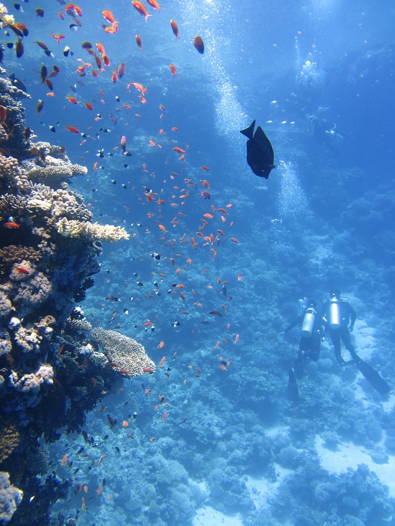 Great Barrier Reef