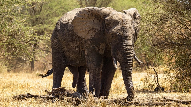 Serengeti National Park